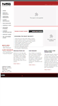 Mobile Screenshot of newagesecuritysystems.com